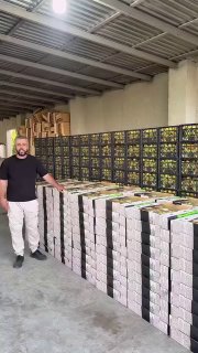 Первая партия армянских абрикосов отправлена в Сингапур компанией Давида Давтяна