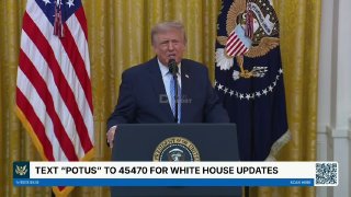 Трамп обвинил Китай во вмешательстве в выборы 2020 года и покупке данных избирателей