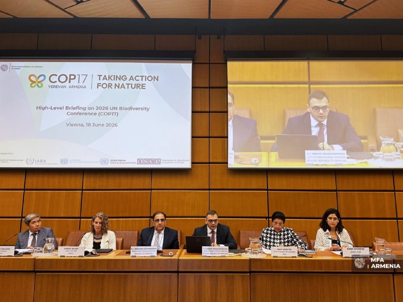 Армения представила в Вене подготовку к COP17 по биоразнообразию в Ереване: заявление замминистра Абисогомоняна