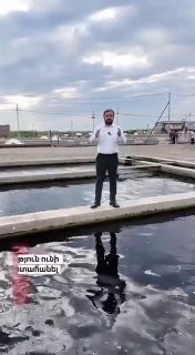 Геворг Папоян: Армения получила право экспортировать рыбу в ЕС — дебаты вокруг соглашения
