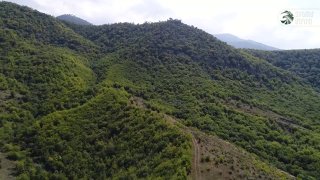 В Армении с 2 по 8 августа пройдут ежегодные Армейские игры под эгидой премьер-министра