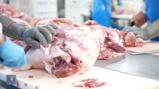 Правительство Армении поддержало компанию «Атенк»: лизинг и льготы для развития мясного производства