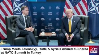 Трамп поручил приостановить торговлю с Испанией: реакция Мадрида