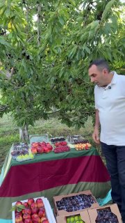 Армянские фрукты из Араратской области впервые экспортированы в ОАЭ: заявление Araratyan Farm