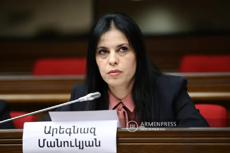 Члена правления «Мать Армения» Арегназ Манукян арестовали на два месяца — СК